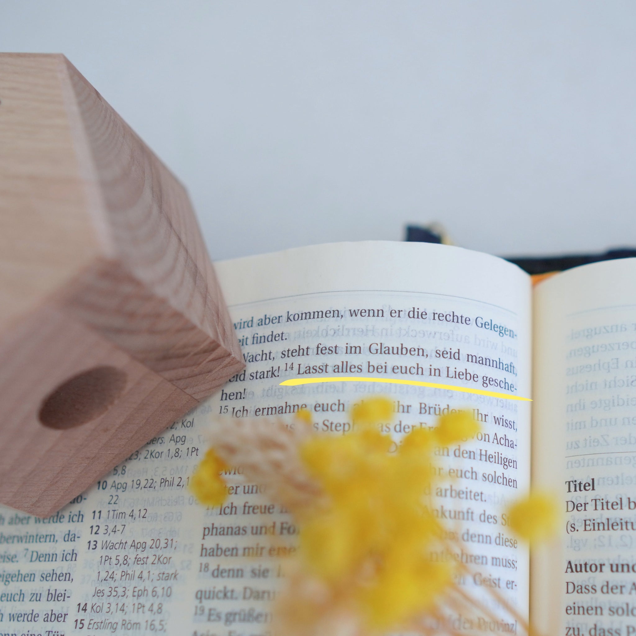 Holzvase-Haus "Alles in Liebe" mit Trockenblumen